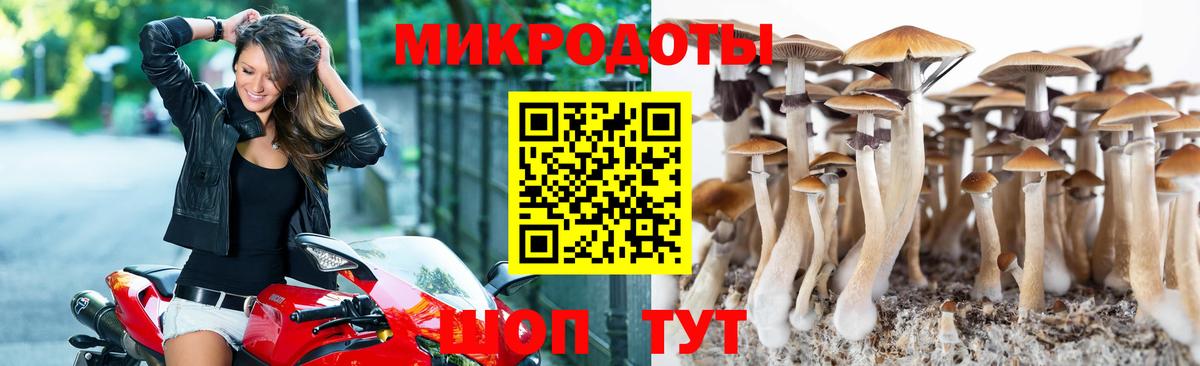Псилоцибиновые грибы MAGIC MUSHROOMS  Псилоцибиновые грибы ЛСД  Зима  Вход с VPN 